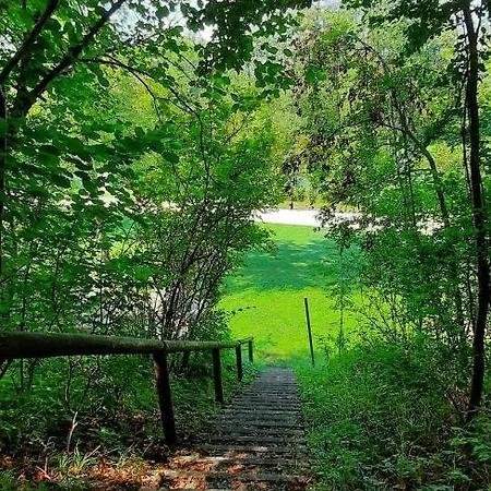 Gemuetliches Tiny Mit 30m2 Inklusive Kochmoeglichkeit Apartamento Lenzing