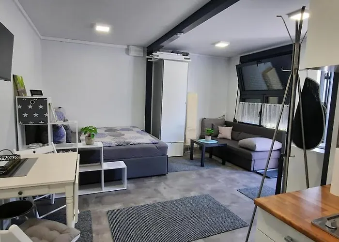 Gemuetliches Tiny Mit 30m2 Inklusive Kochmoeglichkeit Apartmán Lenzing
