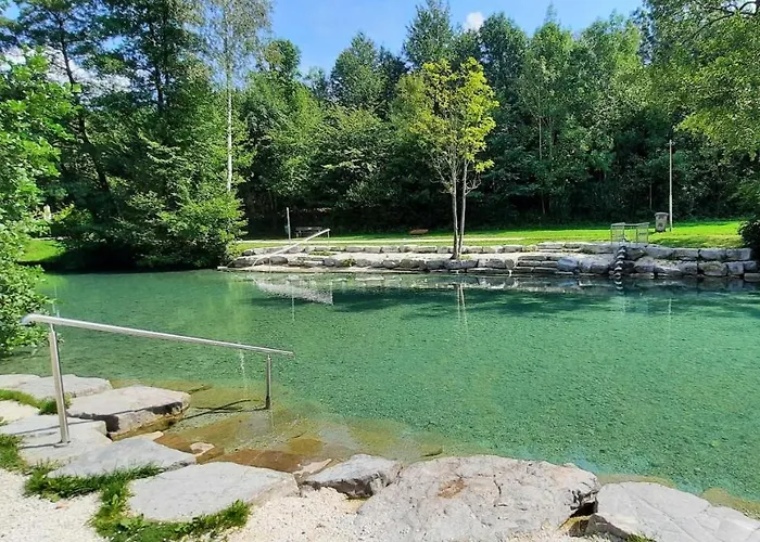 Gemuetliches Tiny Mit 30m2 Inklusive Kochmoeglichkeit Lenzing