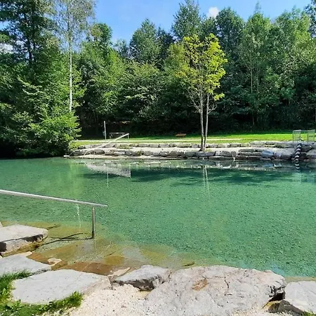 Gemuetliches Tiny Mit 30m2 Inklusive Kochmoeglichkeit Lenzing